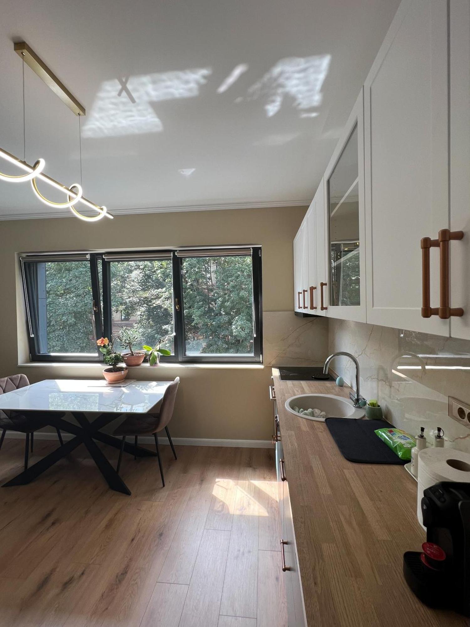 Ophir Apartment Central 克卢日-纳波卡 外观 照片